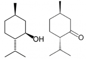 quimiotipo menta piperita